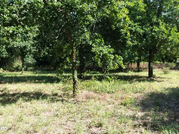 Terrain 1640 m² LA TURBALLE 