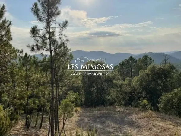 Terrain 10387 m² Le Muy 