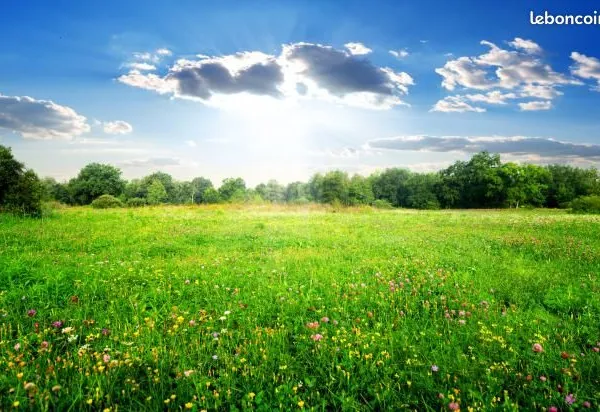 Terrain environ 500m² 