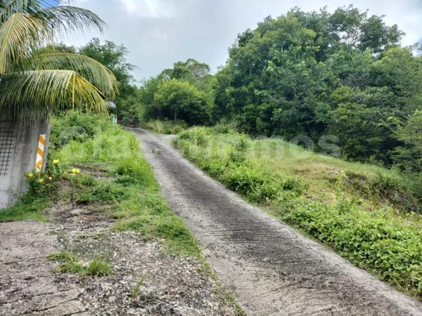Terrain Vente Les Abymes  1672m² 125400€