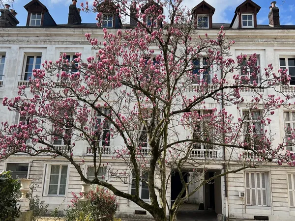 Vends appartement de prestige style XVIIIème 