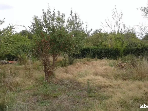 Terrain 1 200 m² Saint Selve 