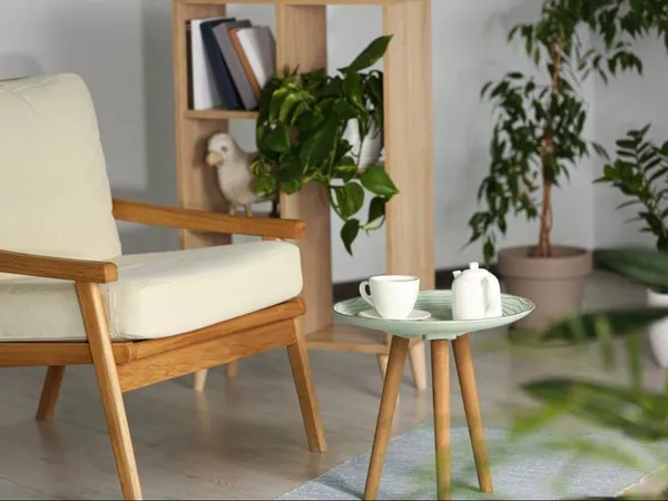 Appartement T2 de 49m² à Anglet 