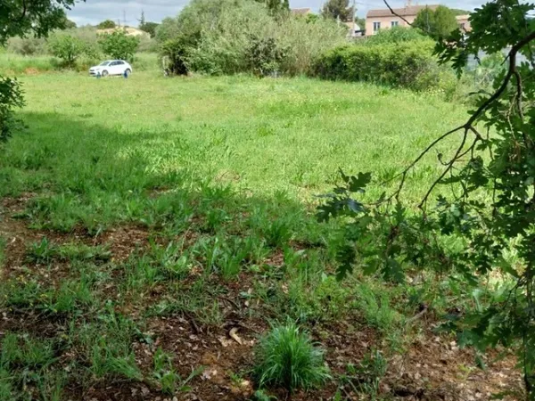 Terrain 1055 m² 