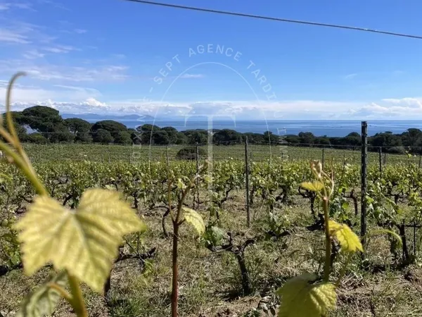 BASTIDE VITICOLE - GASSIN 