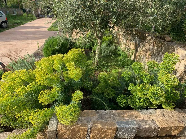 Vends maison - 220m² 