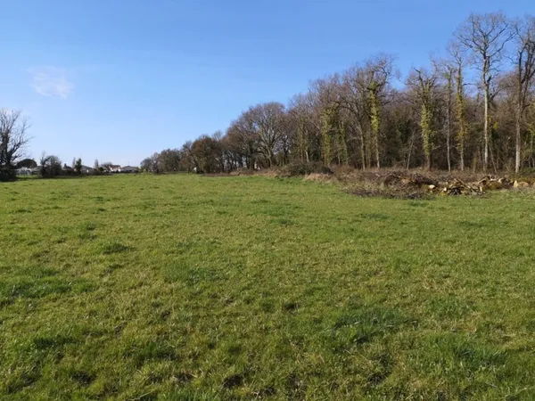 Terrain 462 m² 