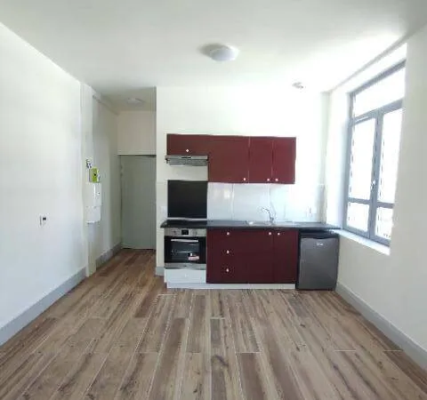 Studio 1 pièce 24 m² 