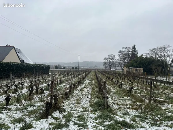 Terrain 2282 m² BOURGUEIL 