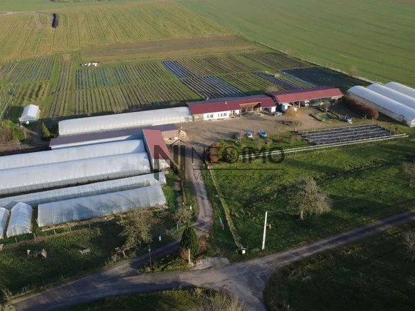 Maison de plain-pied 4 pièces 275 m² 