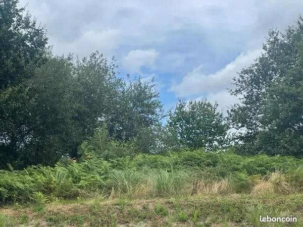 Terrain 946 m² Seignosse 