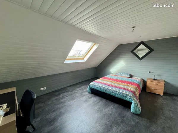 Duplex 1 pièce 17 m² 