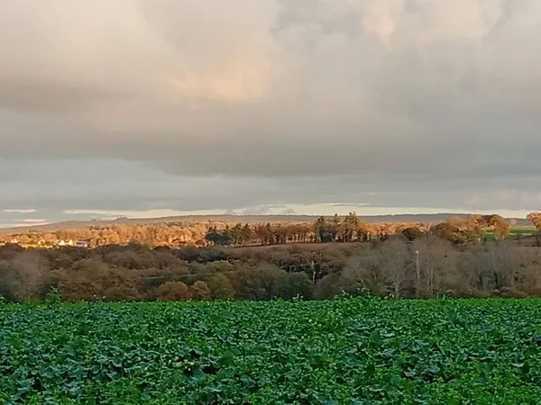 Maison 6 pièces 370 m² 