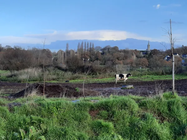 Terrain en lotissement 364 m² 