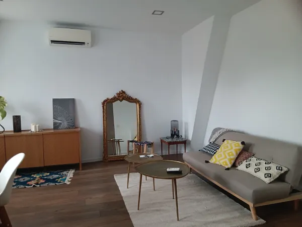 Toulouse- Grand Rond- appartement type 2 meublé de 49 m2 - climatisé 