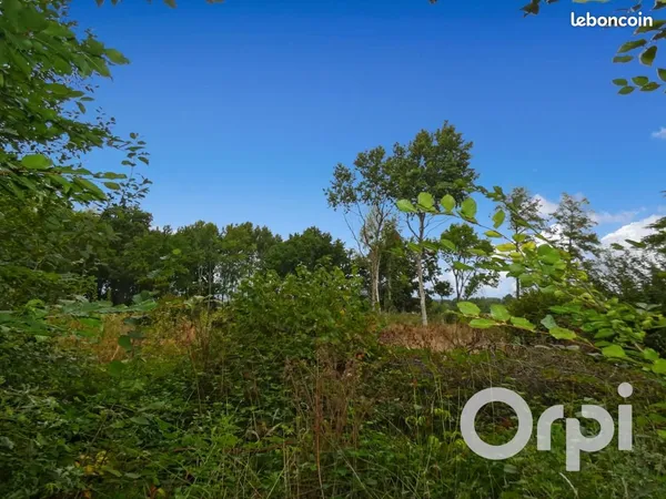 Terrain 2 207 m² Gournay En Bray 