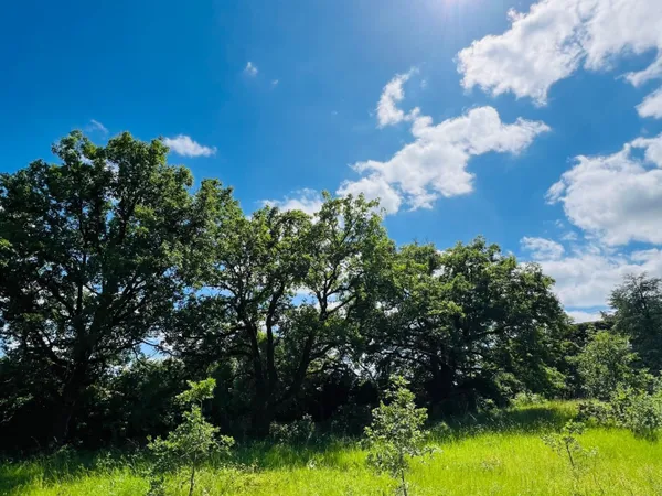 Terrain en individuel 987 m² 