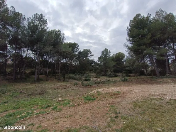 Terrain 800m2 :276000 euros (345euros m2) 