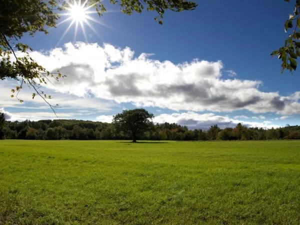 Terrain 450 m² 