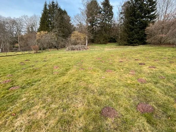 Terrain 5260 m² EVETTE SALBERT 