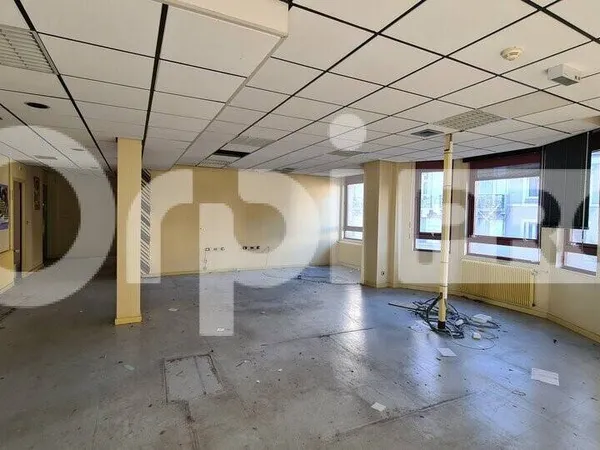 Local 350 m² 