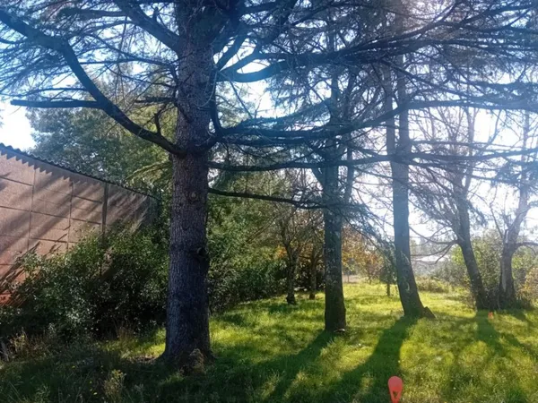 Terrain 600 m² 