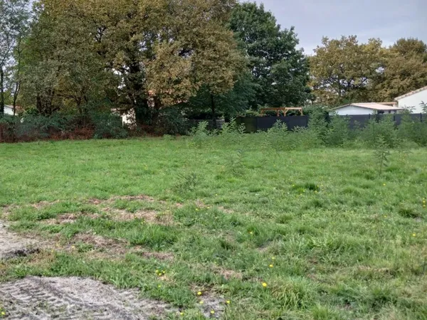 Terrain 700 m² 