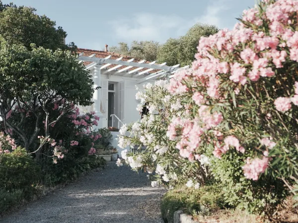 Vends maison 