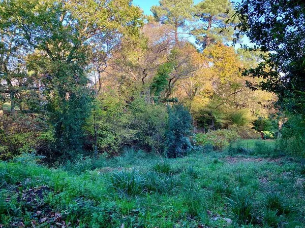 Propriété 