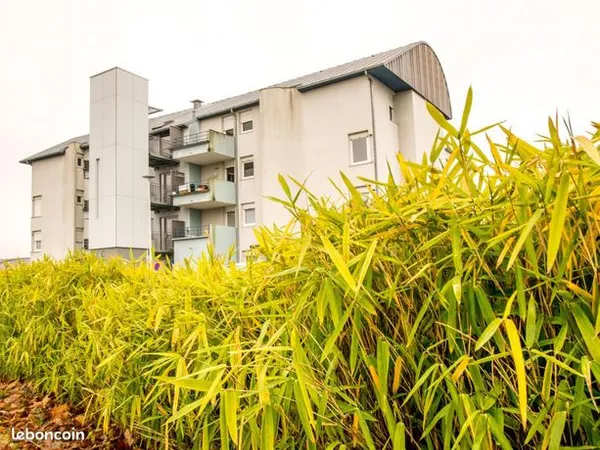 Appartement 3 pièces 69 m² 