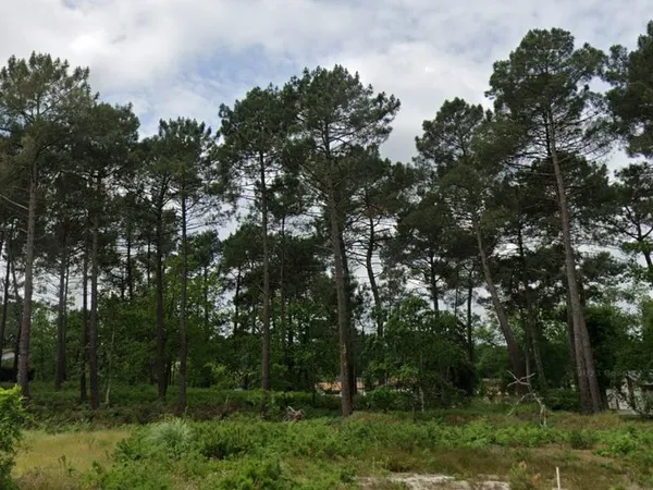 Terrain 650 m² Hostens 