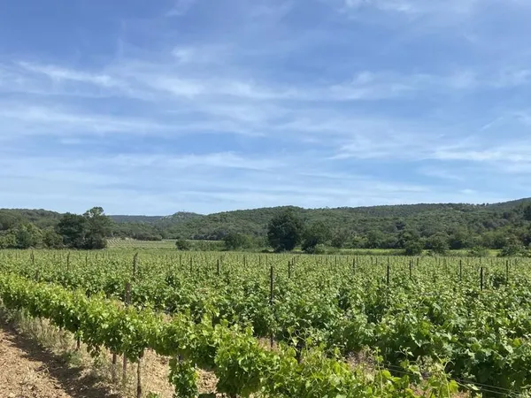 Terrain 4 676 m² Lezignan Corbieres 