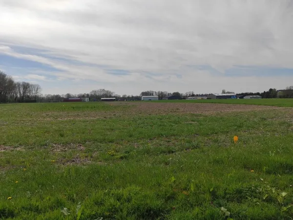 Terrain 2294 m² 