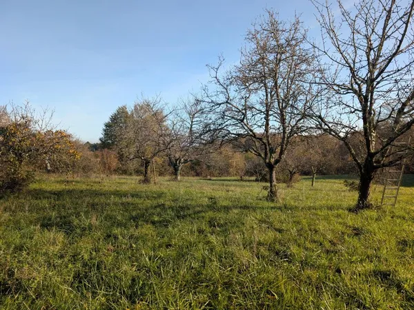 Terrain constructible 