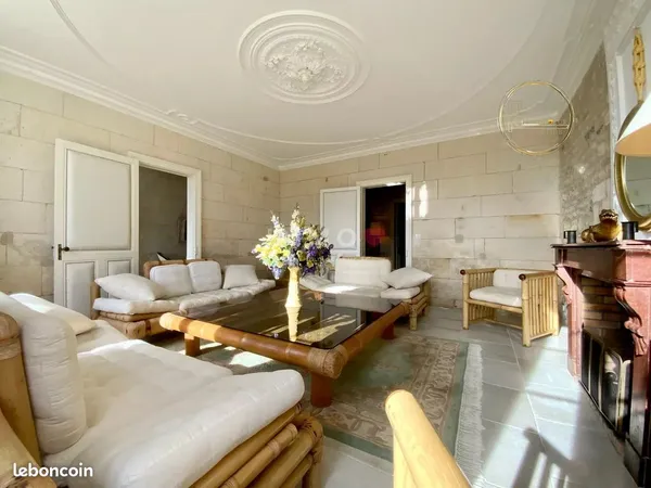 Maison 9 pièces 420 m² 