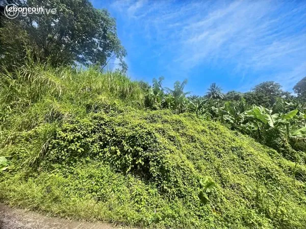 Terrain 8530 m² 
