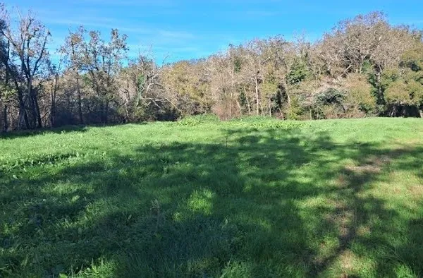 Terrain 530 m² 