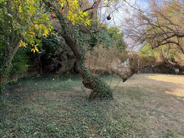 Terrain en individuel 295 m² 