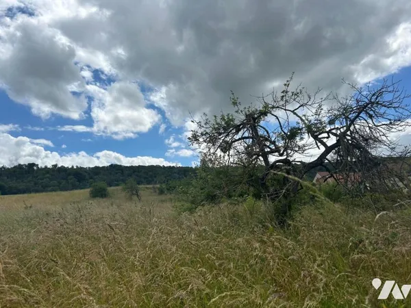 Terrain 3349 m² 