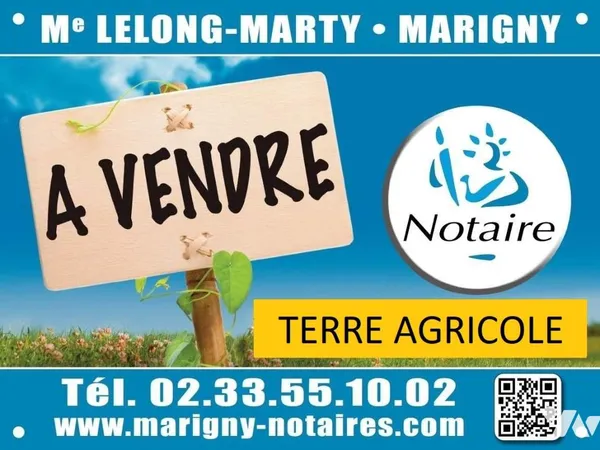 Terrain 31696 m² 