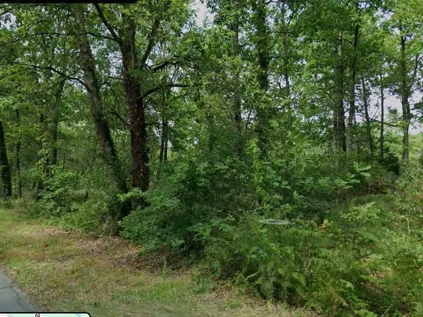 Terrain 248000 m² 