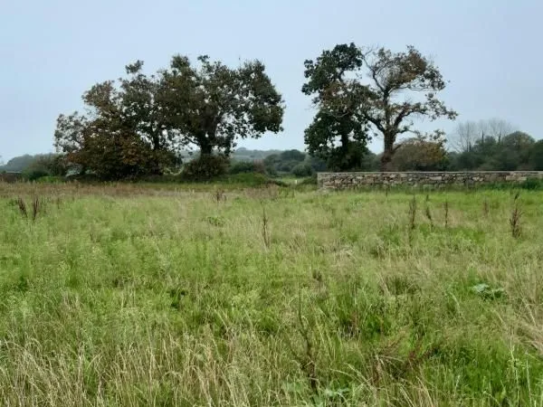 Terrain 245 m² Trevou Treguignec 