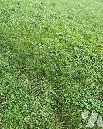 Terrain 423 m² 
