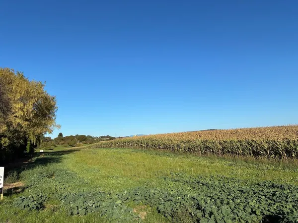 Terrain en individuel 601 m² 