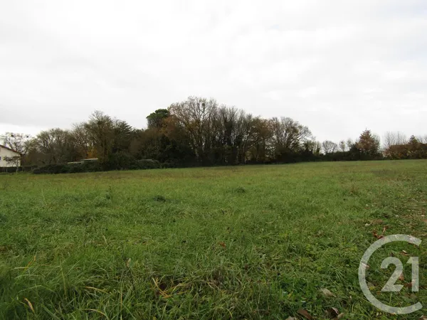 Terrain 5395 m² 