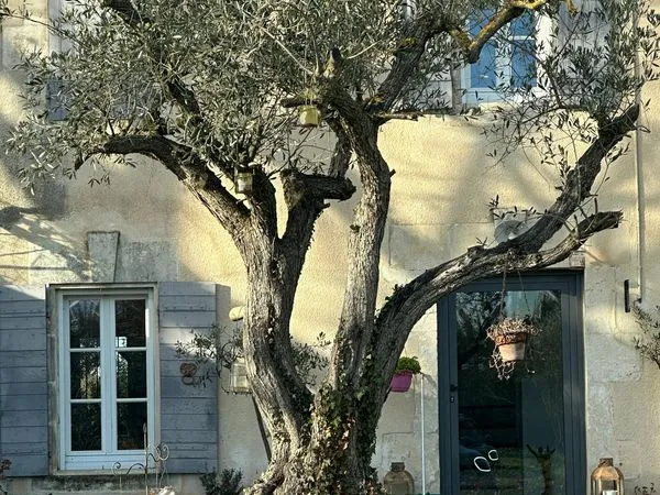 Mas 7 pièces 255 m² 