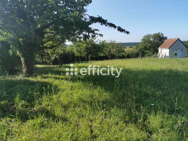 Terrain 1505 m² 