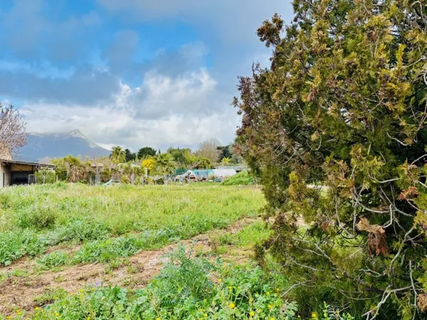 Terrain 730 m² 