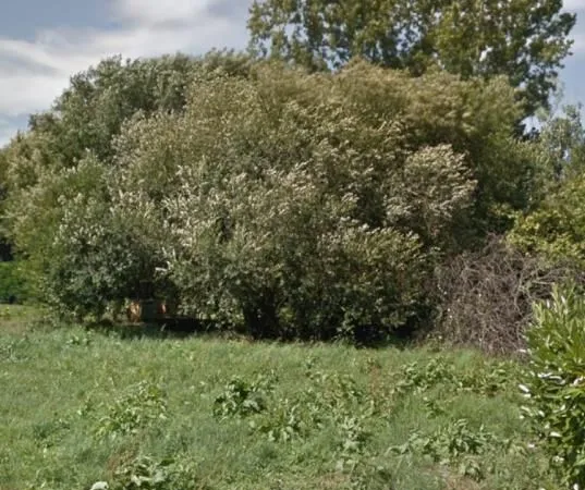 Terrain 410 m² Seignosse 