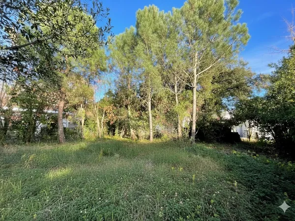 Terrain 736 m² 